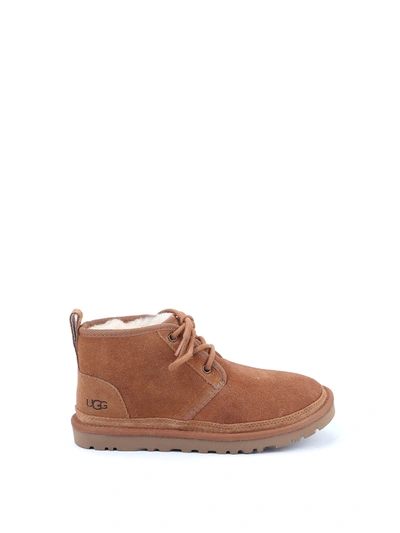 Ugg Neumel Lace Up Boot In Brown