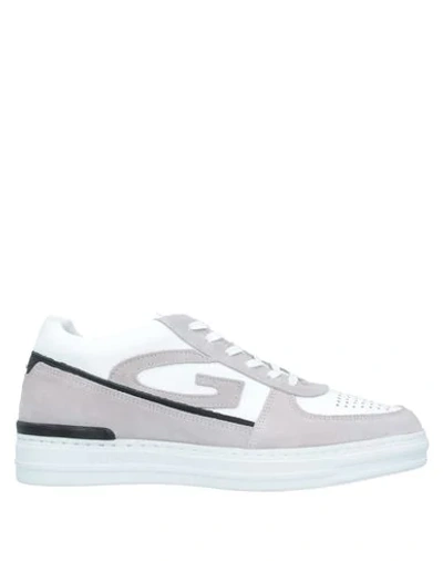 Alberto Guardiani Sneakers In Light Grey