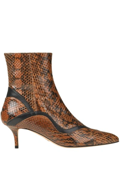 Paula Cademartori Reptile Print Leather Ankle-boots In Brown