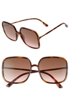 Dior Stellair 59mm Square Sunglasses In Havana/ Black Brown Green