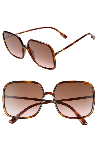 Dior Stellair 59mm Square Sunglasses In Havana/ Black Brown Green