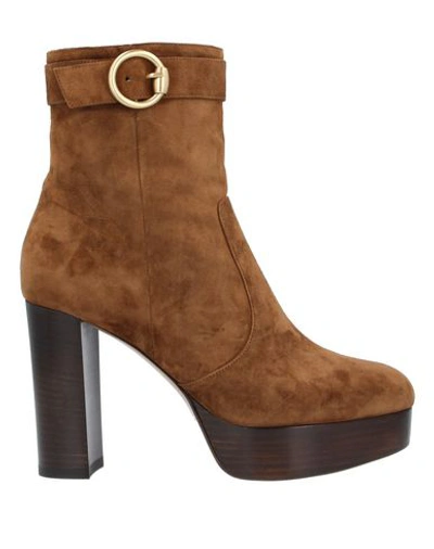 Gianvito Rossi Ankle Boots In Beige