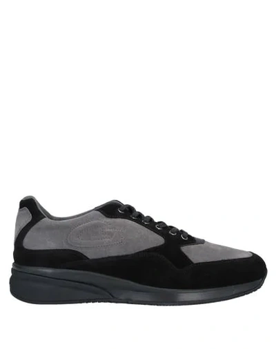 Alberto Guardiani Sneakers In Grey