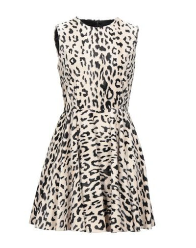 Dolce & Gabbana Short Dresses In Ivory
