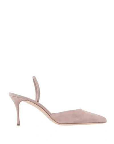 Sergio Rossi Pumps In Pale Pink
