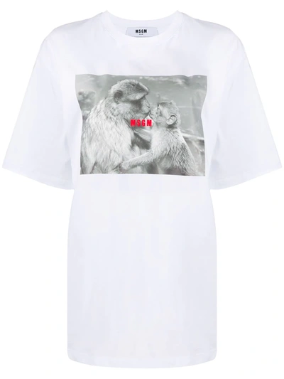 Msgm Monkey-print Oversized T-shirt In White