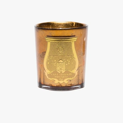Cire Trudon Hupo Amber Scented Candle In Yellow | ModeSens