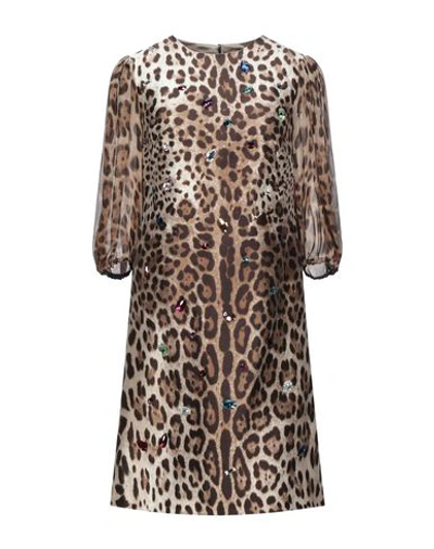 Dolce & Gabbana Short Dresses In Brown