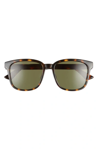 Gucci 56mm Square Sunglasses In Dark Havana/ Green