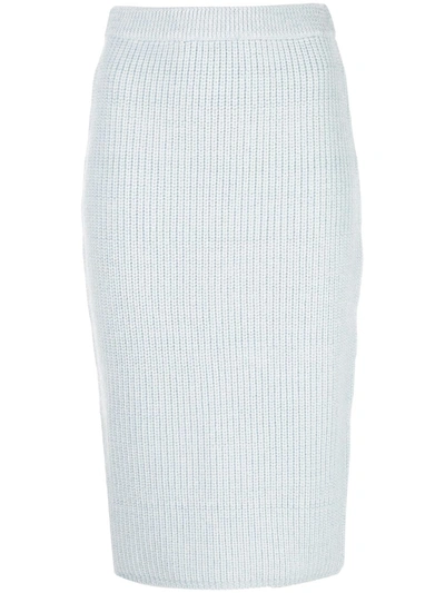 Adam Lippes Knit Pencil Skirt In Blue