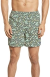 Patagonia Baggies 5-inch Swim Trunks In Alligators/ Green