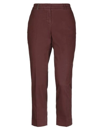 Peserico Pants In Cocoa