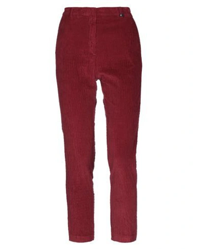 Myths Casual Pants In Maroon