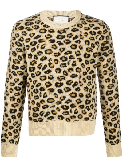 Gucci Distressed Leopard Jacquard Sweater In Brown ModeSens