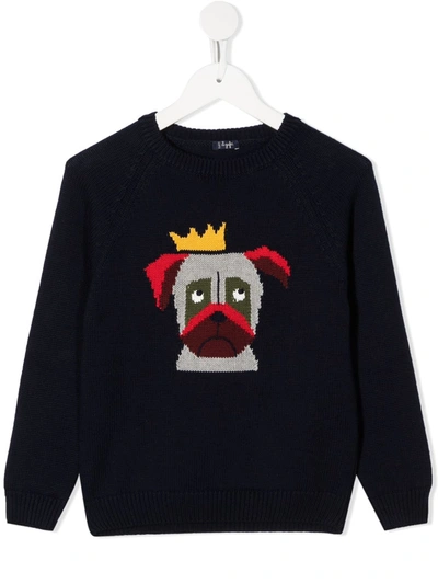 Il Gufo Kids' Dog Intarsia Cotton Knit Sweater In Blu