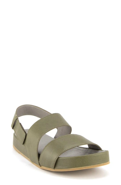 Eileen Fisher Curve Sandal In Olive Leather