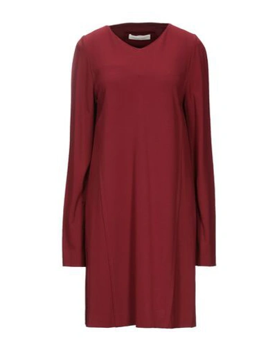 Liviana Conti Short Dresses In Red