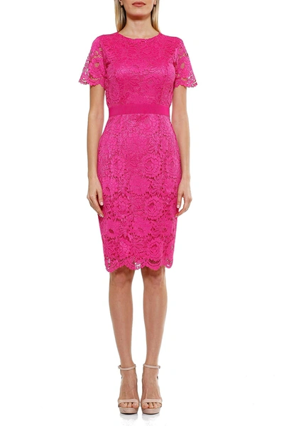 Alexia Admor Delora Short Sleeve Lace Sheath Dress In Magenta