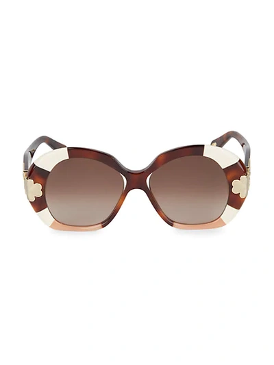 Chloé Havana 54mm Rounded Square Sunglasses In Gold Patch