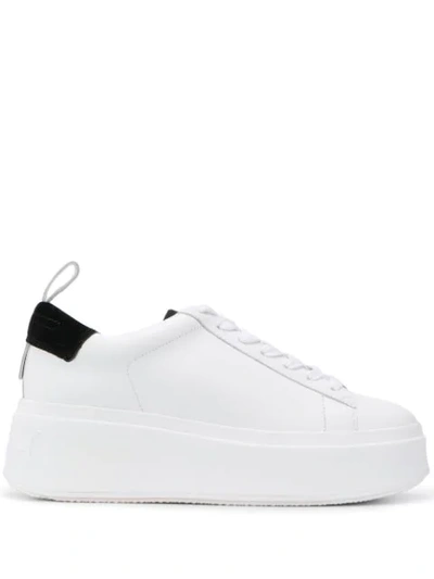Ash Moon Platform Chunky Sneakers, White/black In Bianco / Nero (white)