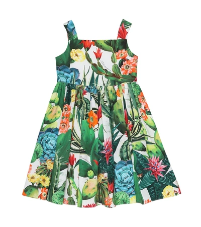 Dolce & Gabbana Kids' Printed Cotton Poplin Dress In Multicoloured