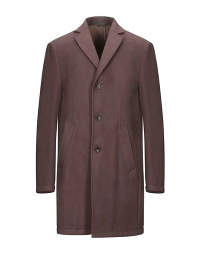 Grey Daniele Alessandrini Coat In Cocoa