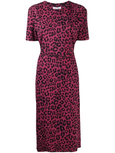 Kenzo Leopard Print T-shirt Dress In Pink