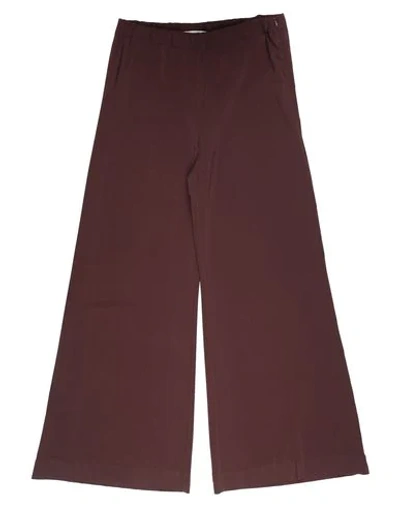 Liviana Conti Pants In Dark Brown