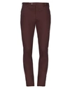 Pt01 Pants In Dark Brown