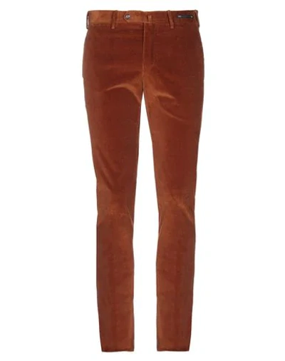 Pt01 Pants In Brown