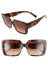 Versace Medusa Square Sunglasses Ove4384b-black In Havana/ Brown Grad