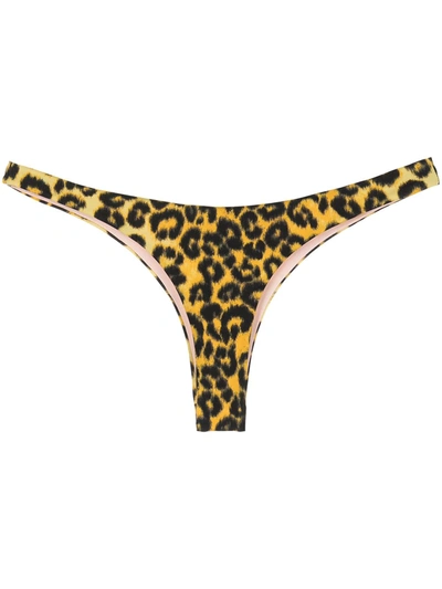 Les Girls Les Boys Leopard Print Brazilian Brief Bikini In Brown