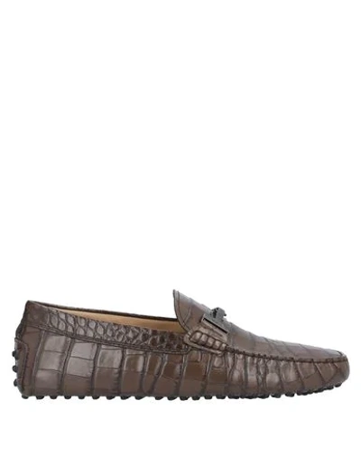 Tod's Loafers In Dark Brown