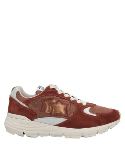 Atlantic Stars Sneakers In Brown