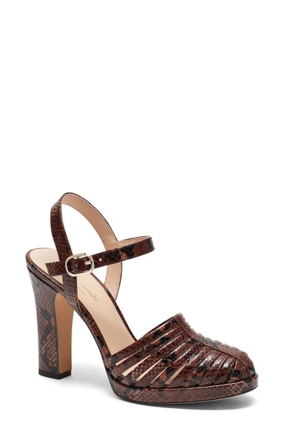 Kate Spade Campania Snakeskin Embossed Sandal In Redwood Leather