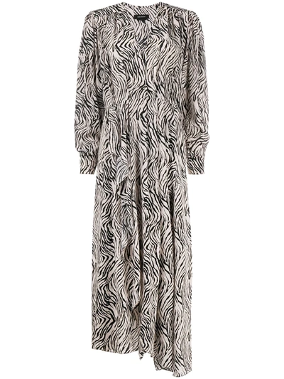 Isabel Marant Zebra-print Long Dress In Neutrals