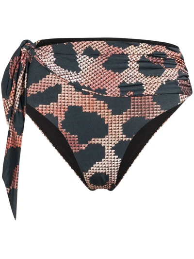 Agent Provocateur Hester Leopard Print Bikini Bottoms In Black