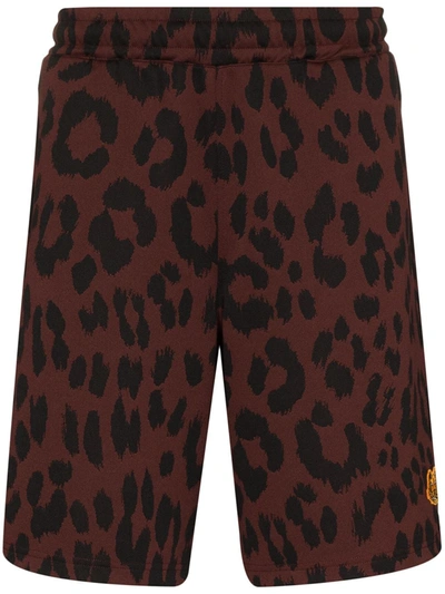 Kenzo Leopard Print Shorts In Brown
