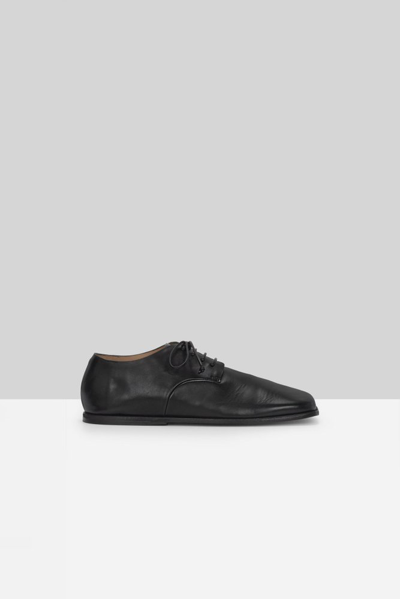 Marsèll Spatola Derby Shoes In Black