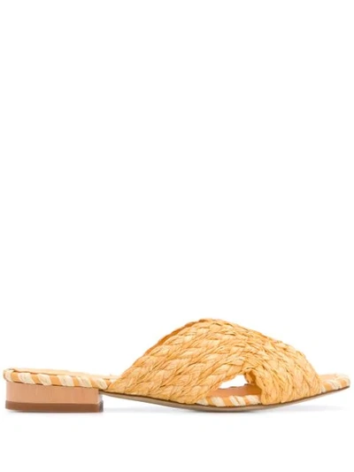 Paloma Barceló Kristen Braided Sandals In Orange