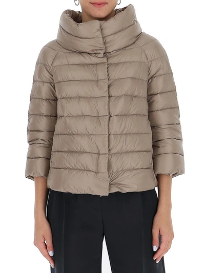 Herno Cropped Padded Jacket In Grey