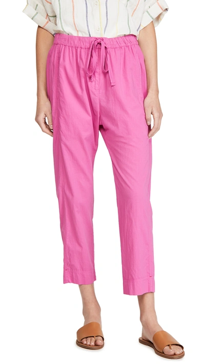 Xirena Draper Pants In Pink Flame