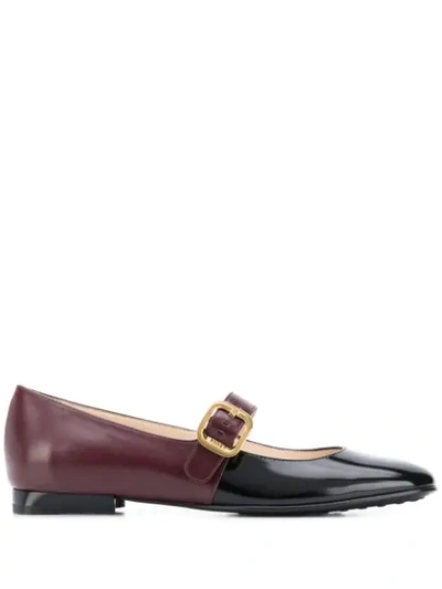 Tod's Two-toned Ballerina Shoes In Black
