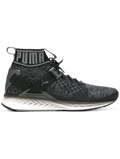 Puma Ignite Evoknit Nc Sneakers In Black/shade/quarry