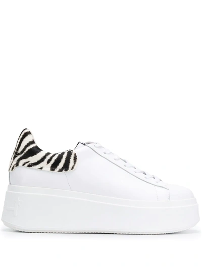 Ash Moby 02 Sneakers In White Leather