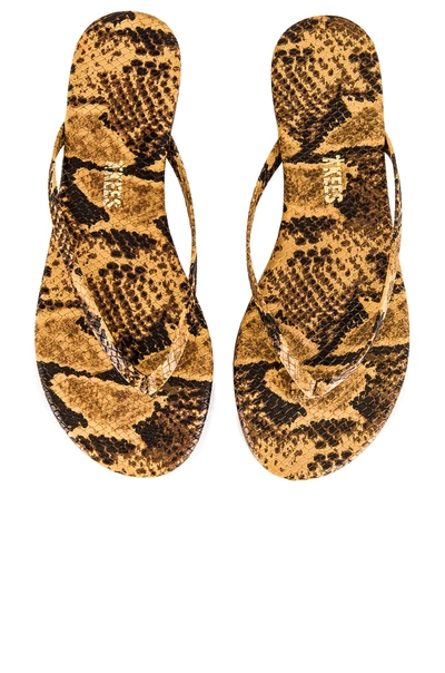 Tkees Studio Exotic Sandal In Coco Snake
