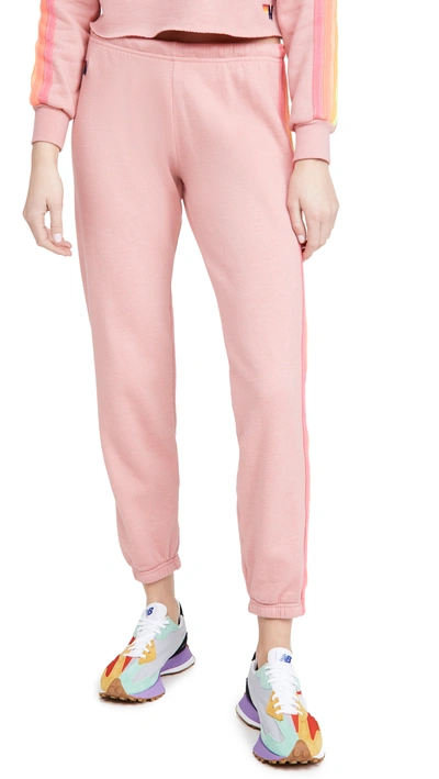 Aviator Nation Rainbow Stripe Sweatpants In Rose Neon