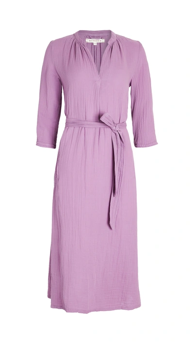 Xirena Joni Dress In Purple Heart