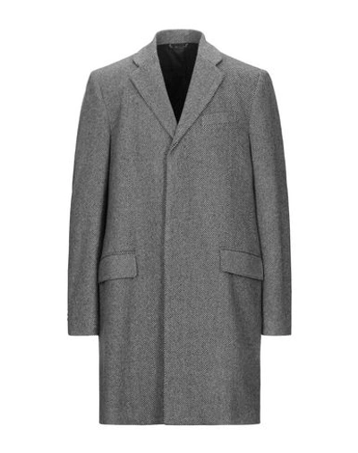 Dolce & Gabbana Coats In Grey