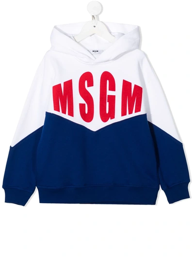 Msgm Kids' Flocked Logo Cotton Sweatshirt Hoodie In Blue